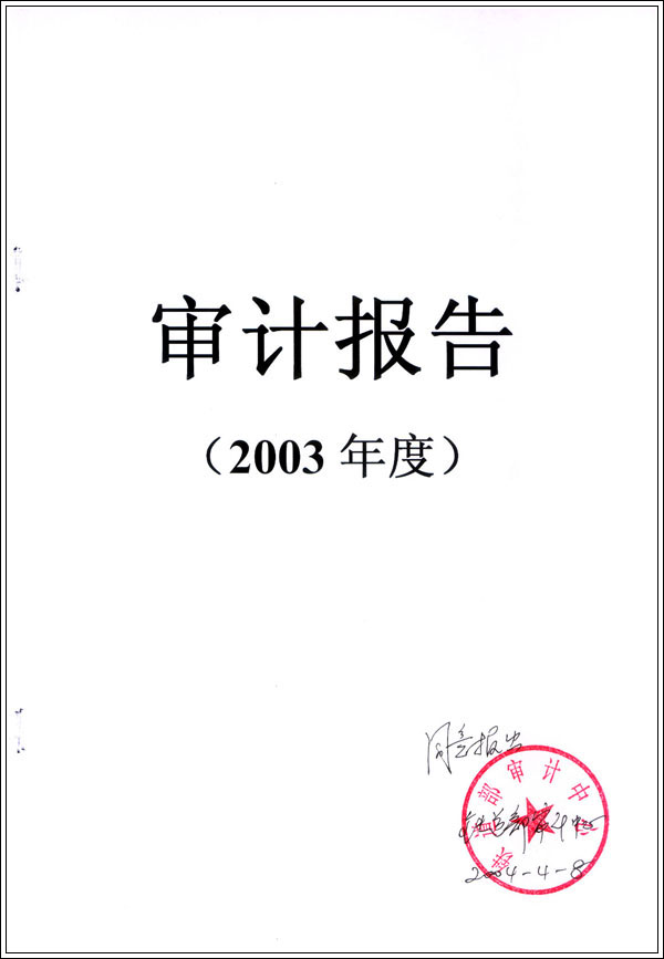 2003年审计报告